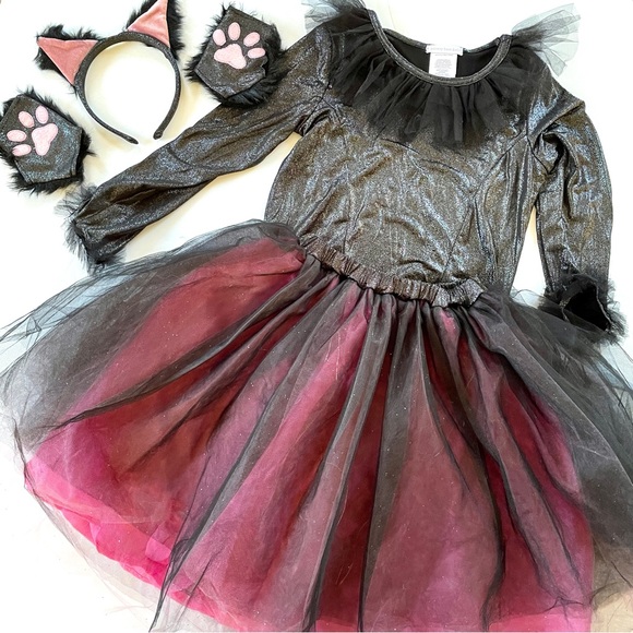 Pottery Barn Kids Costumes Pottery Barn Black Silver Pink Cat